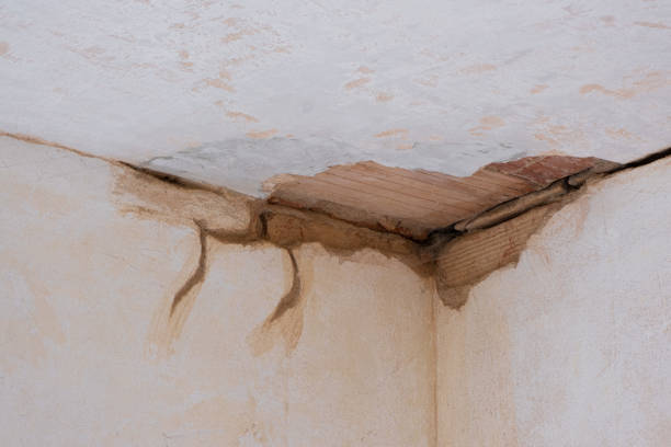 Best Water damage restoration company  in Decatur, MS