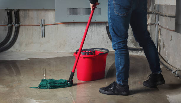 Best Water damage mitigation services  in Decatur, MS