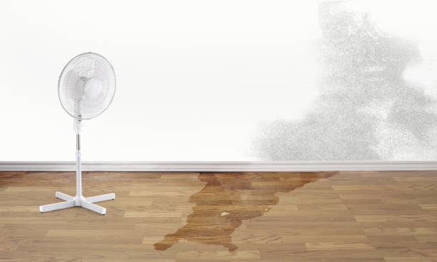 Best Local water damage restoration  in Decatur, MS
