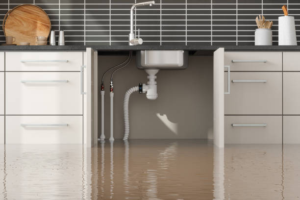 Best Carpet water damage restoration  in Decatur, MS