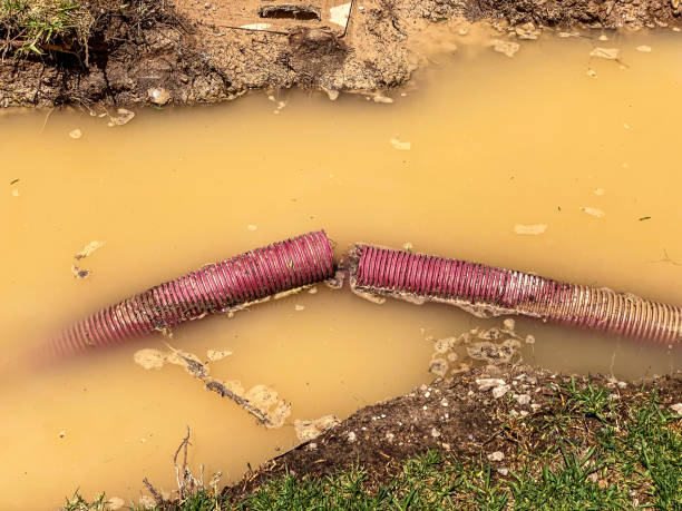 Water damage restoration mold remediation in Decatur, MS