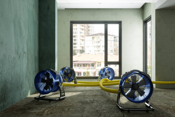 Best Basement water damage restoration  in Decatur, MS