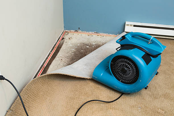 Best Flooded house restoration  in Decatur, MS